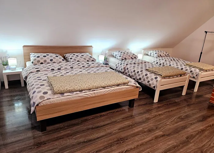 Guest House Lisina